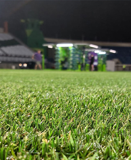 SISGrass vacancies