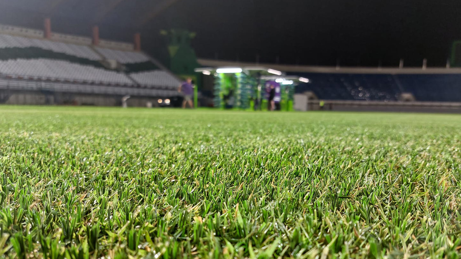 SISGrass vacancies