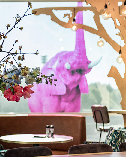 Pink Elephant vacancies