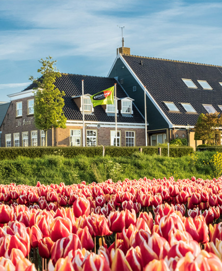 Farm Frites