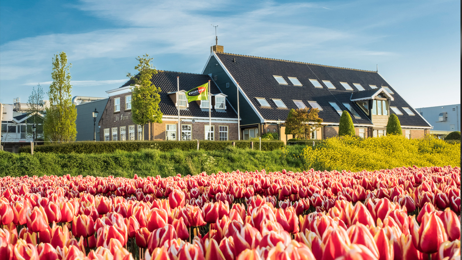 Farm Frites